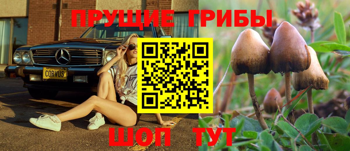 Псилоцибиновые грибы мухоморы  Псилоцибиновые грибы мухоморы  Вход с VPN  где купить наркоту  Семёнов 