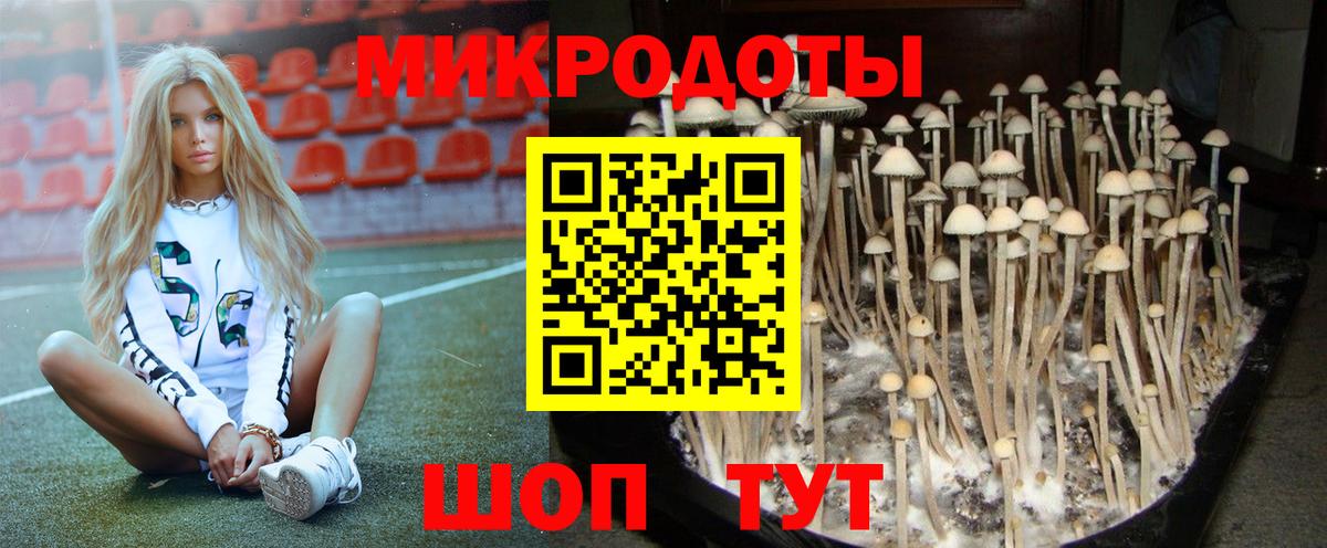 Галлюциногенные грибы Psilocybe Семёнов